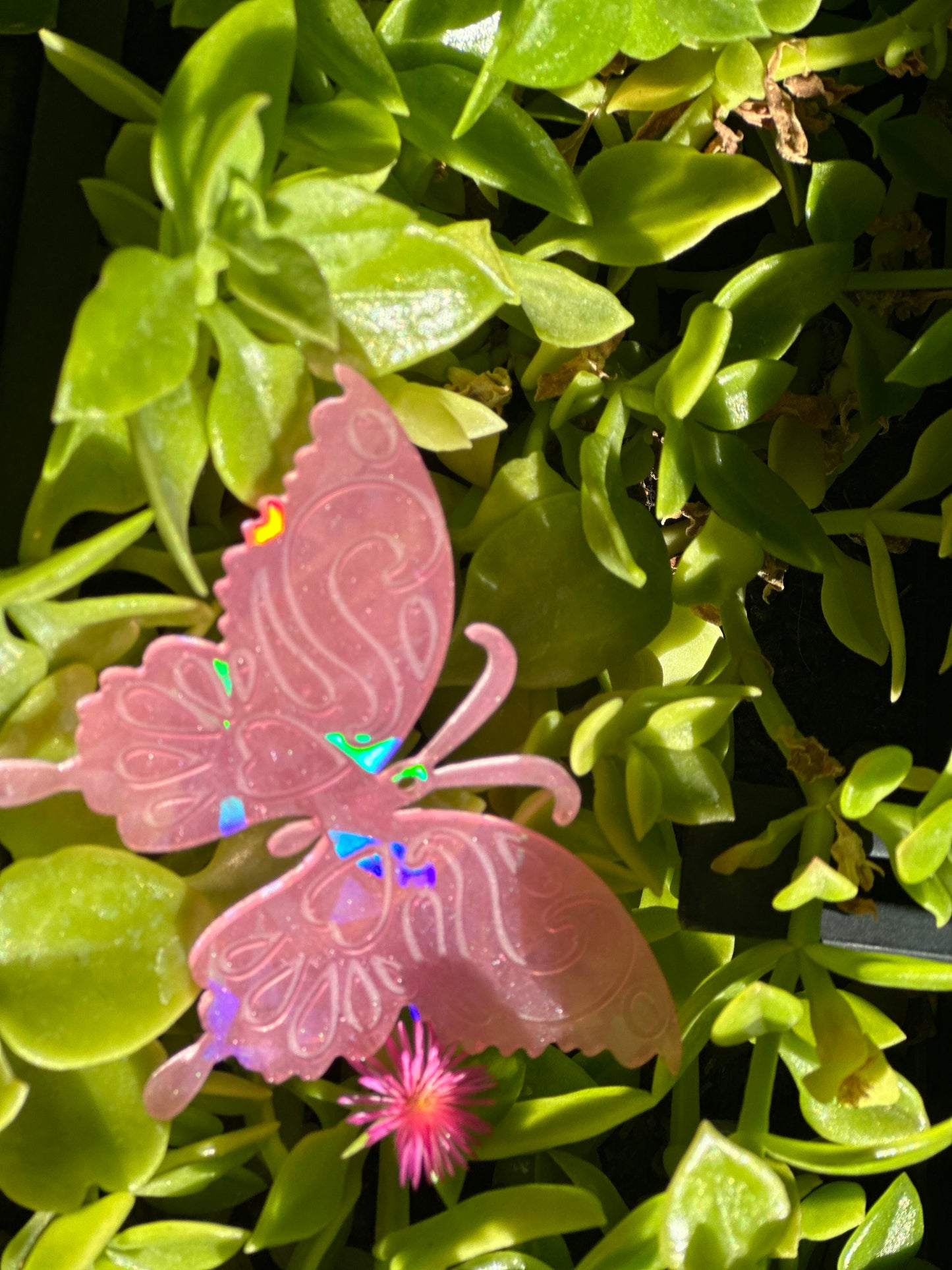 Mariposa holográfica rosa